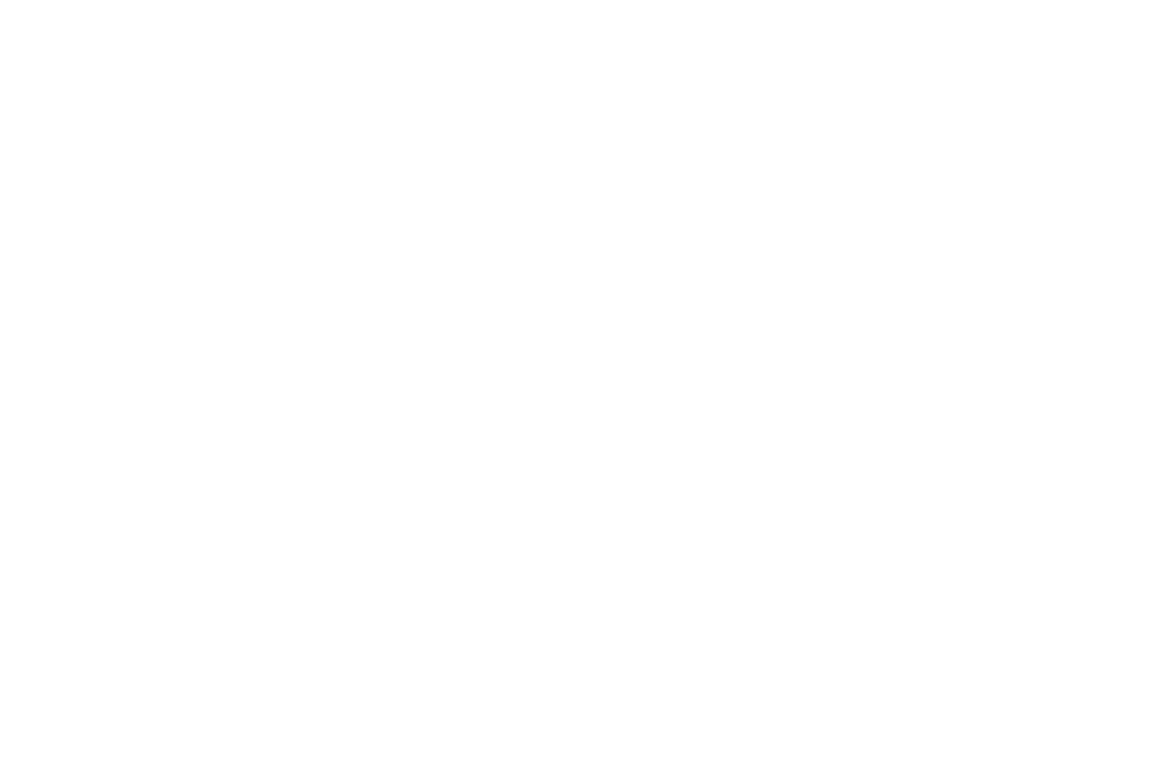 Waimak Classic Cars Logo
