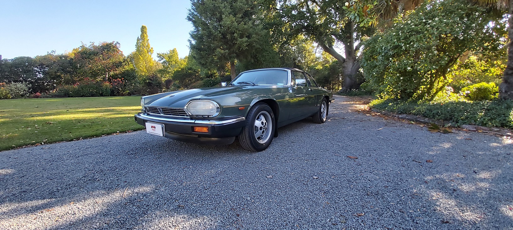 65