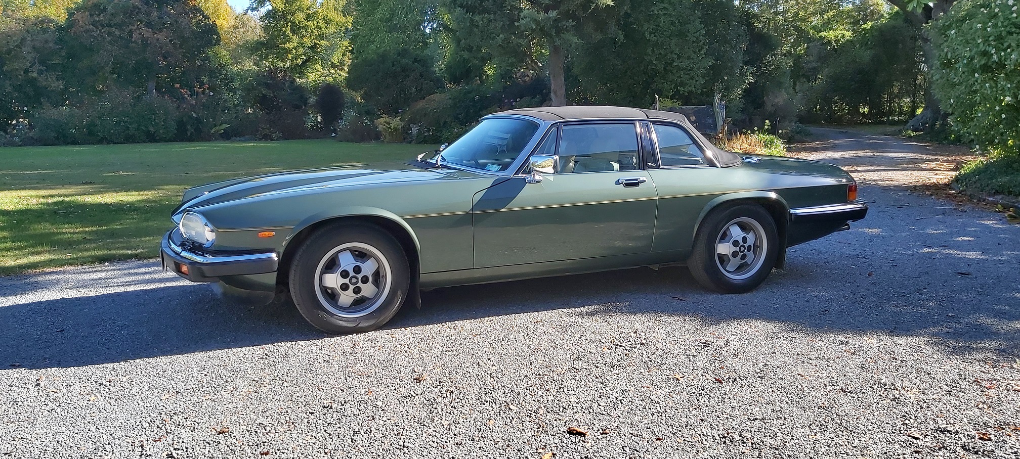 74