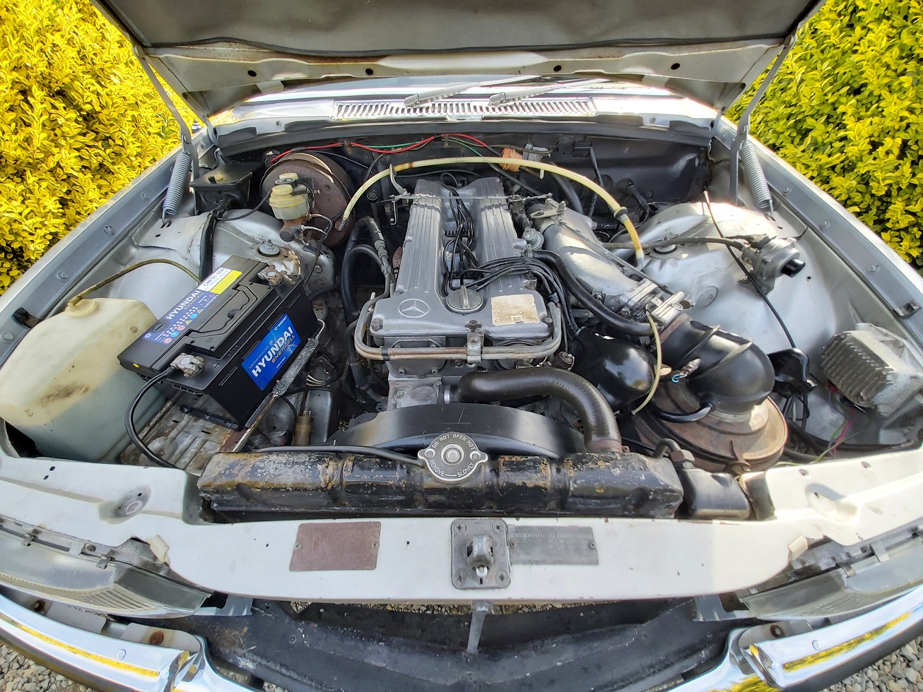 46 2