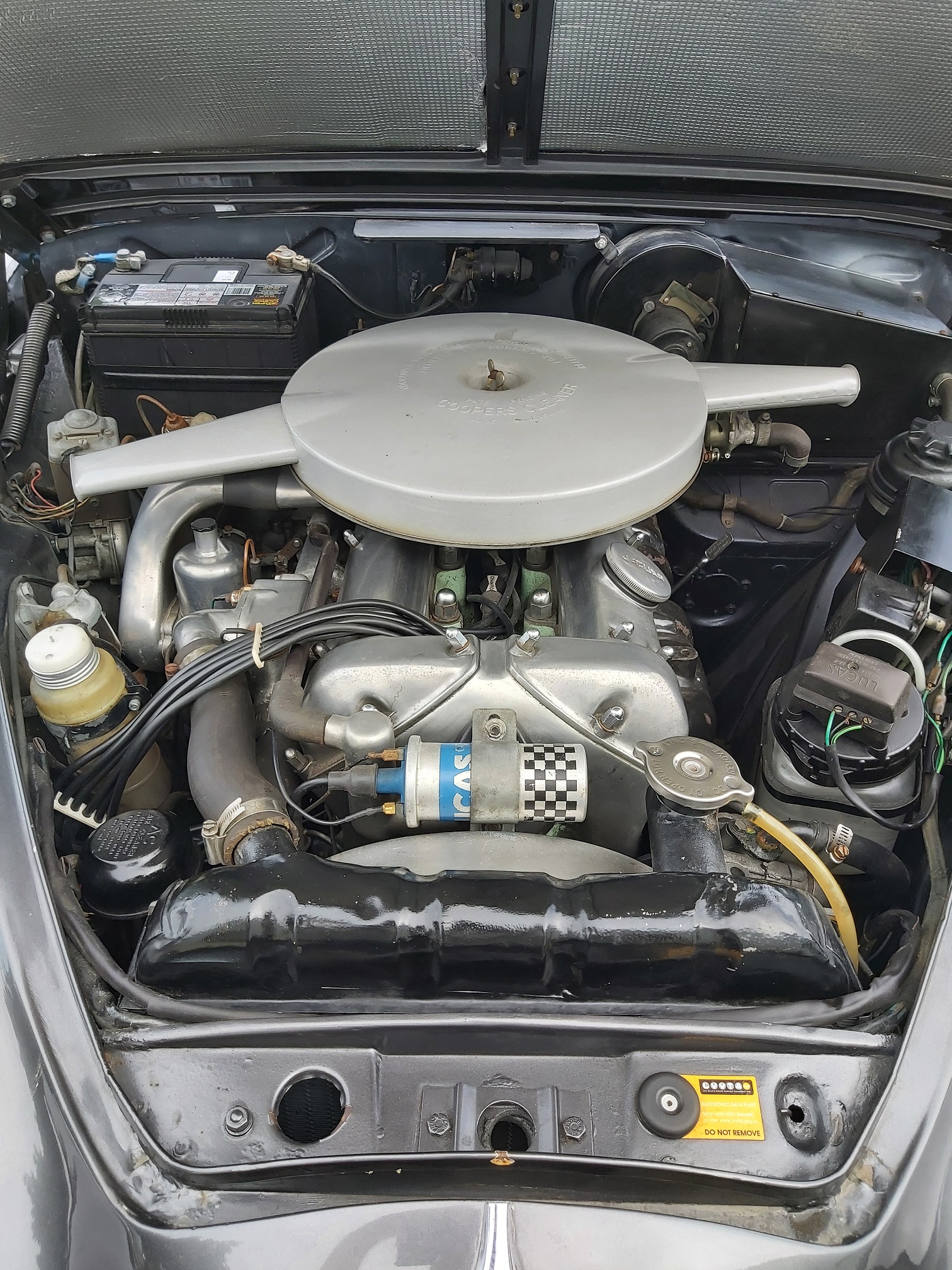 44