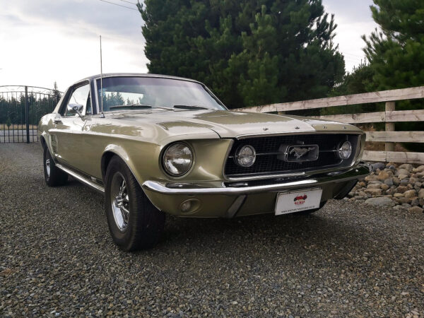 1967 Ford Mustang GTA V8