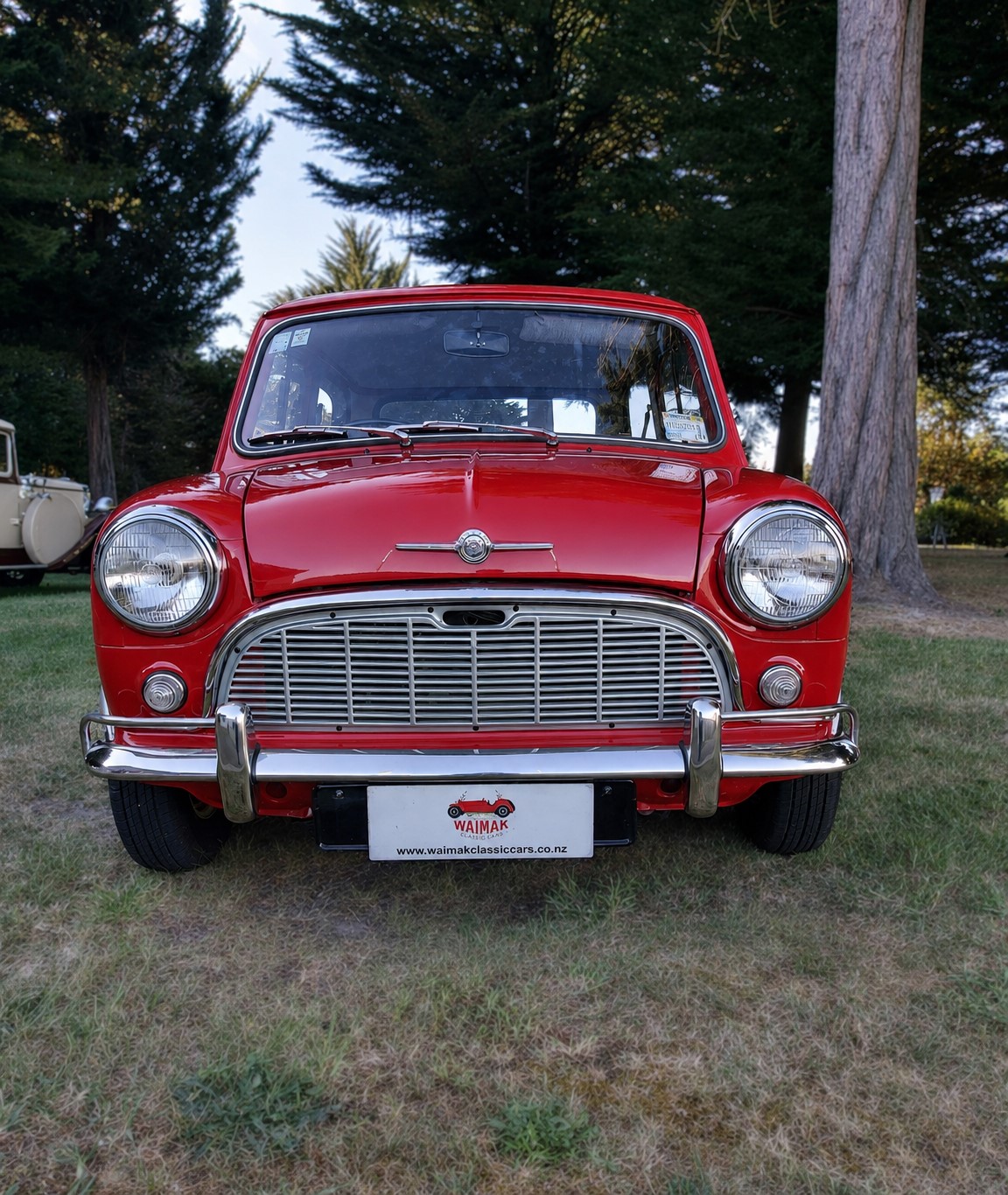 Waimak 09