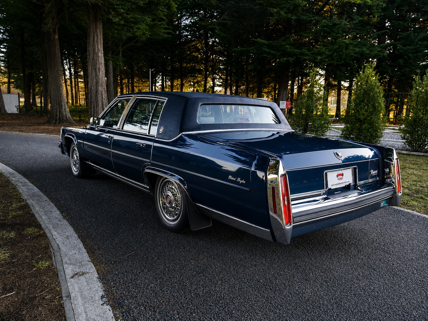 Waimak Classic Cars 1987 Caddillac Brougham 6