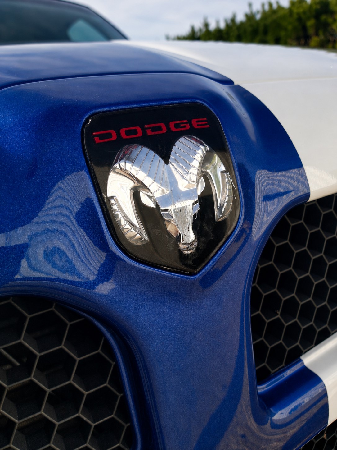 Waimak Dodge 012