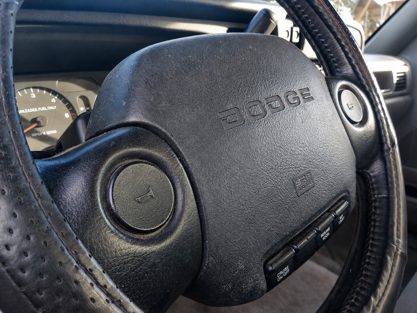 Waimak Dodge 041