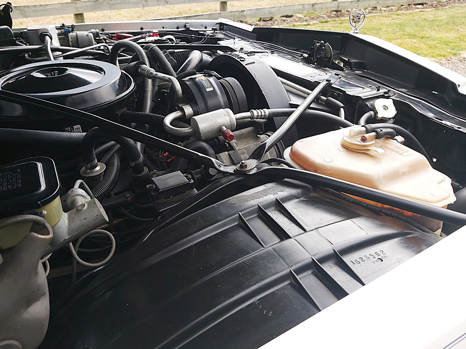 Waimak caddy 35