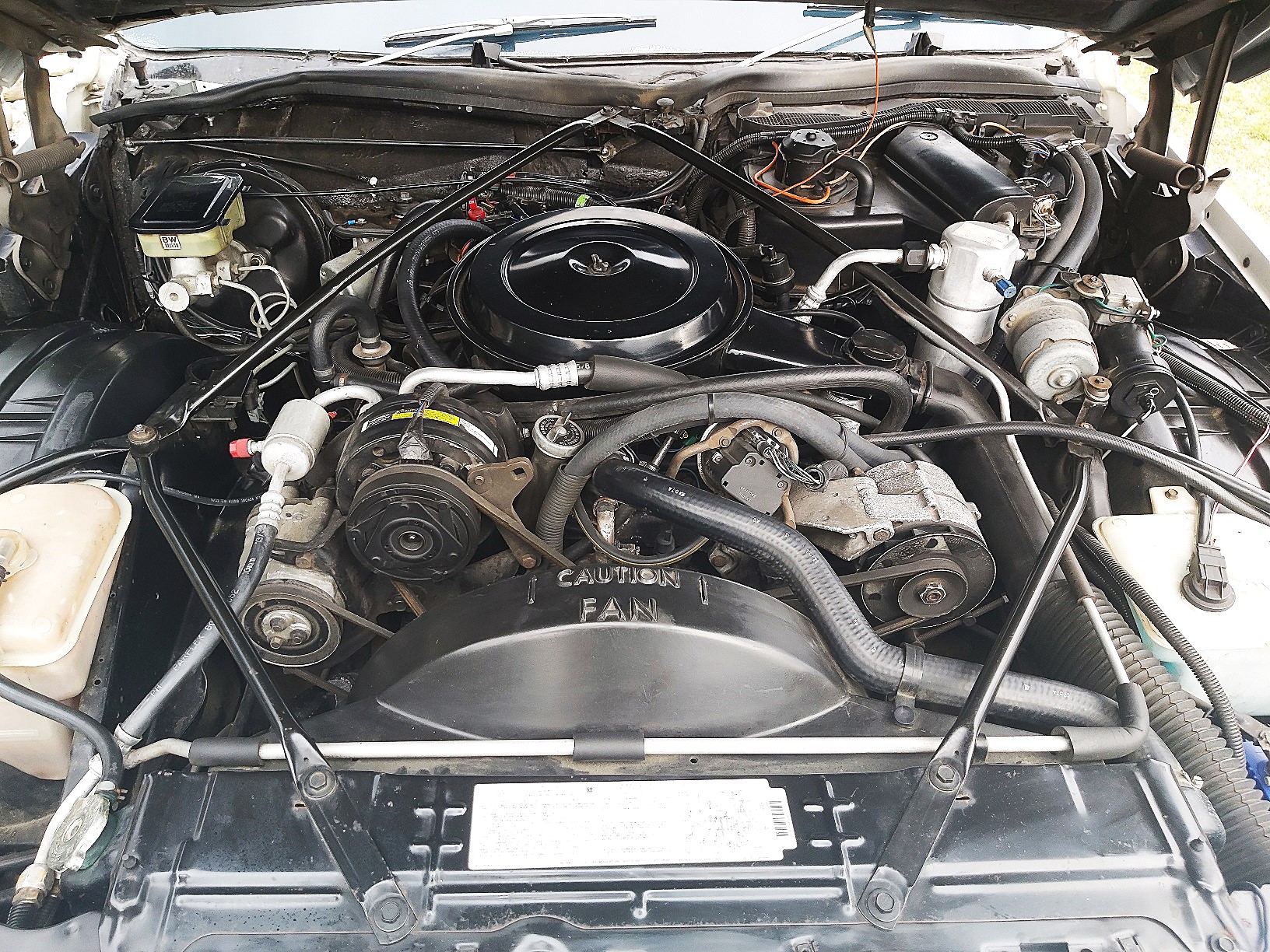 Waimak caddy 36