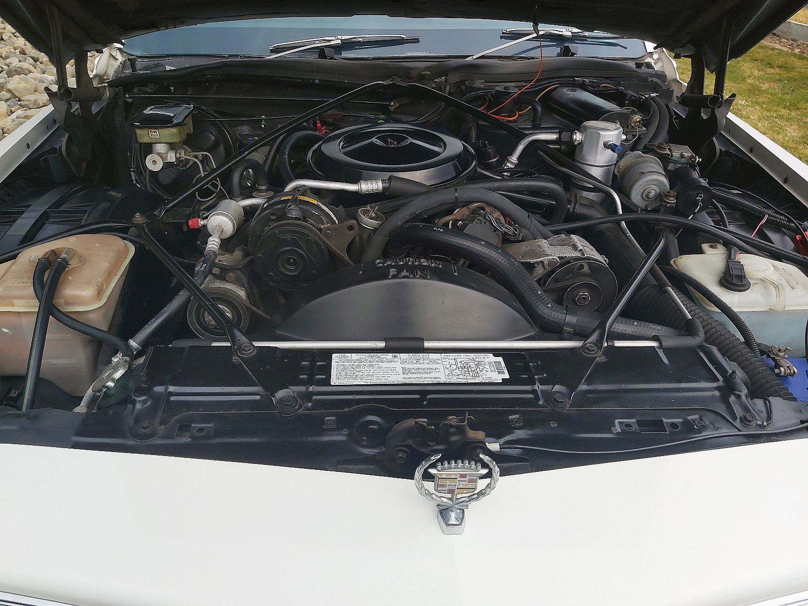 Waimak caddy 38