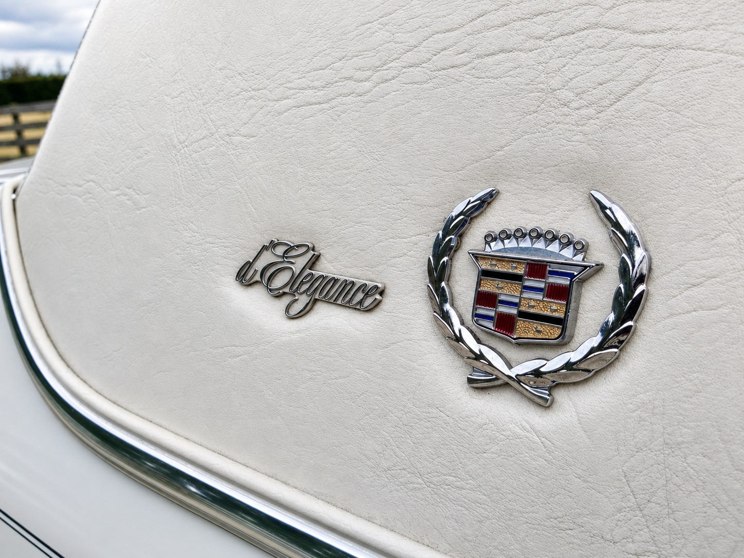 Waimak caddy Brougham 07